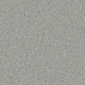 HOMOGENOUS/SHEET VINYL: Accolade Plus