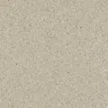 HOMOGENOUS/SHEET VINYL: Accolade Plus