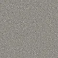 HOMOGENOUS/SHEET VINYL: Accolade Plus