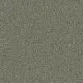 HOMOGENOUS/SHEET VINYL: Accolade Plus