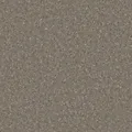 HOMOGENOUS/SHEET VINYL: Accolade Plus