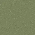 HOMOGENOUS/SHEET VINYL: Accolade Plus