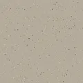 HOMOGENOUS/ SHEET VINYL: Natrails