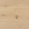 Oak: Enzo