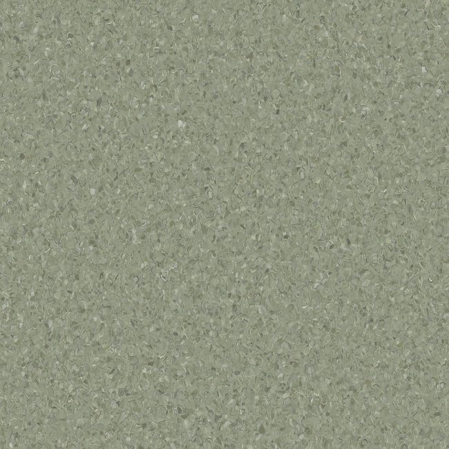HOMOGENOUS/SHEET VINYL: Accolade Plus