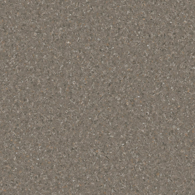 HOMOGENOUS/SHEET VINYL: Accolade Plus
