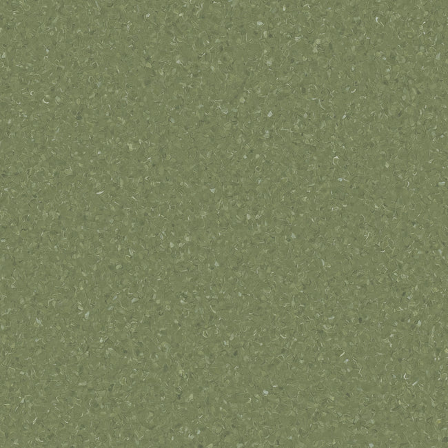 HOMOGENOUS/SHEET VINYL: Accolade Plus