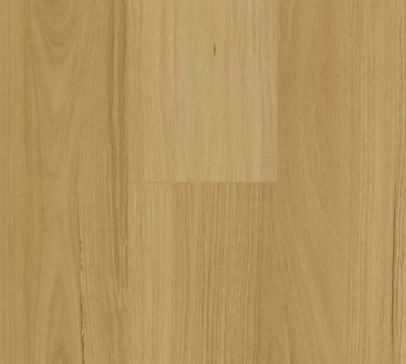 Floortex Pinaco NextGen