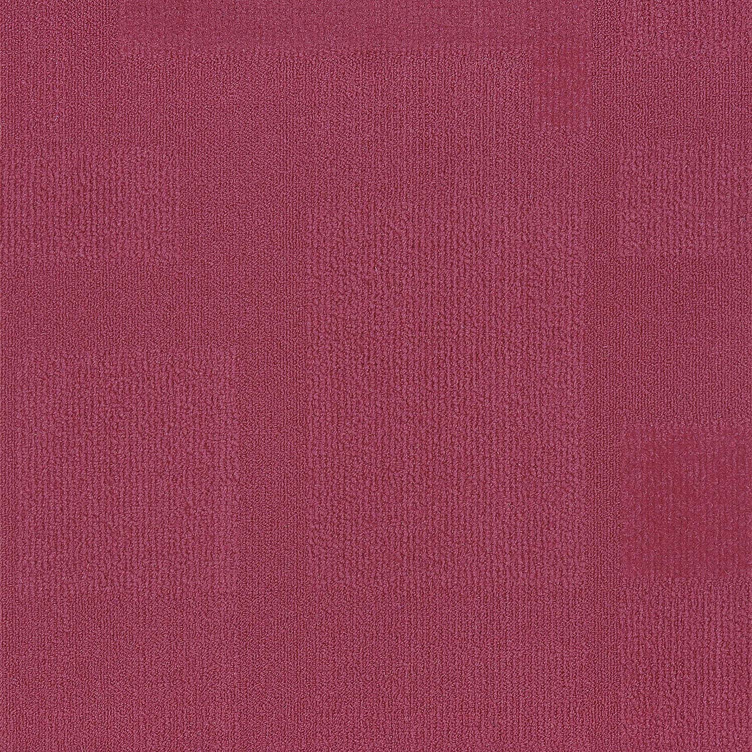 Paragon - Airlay