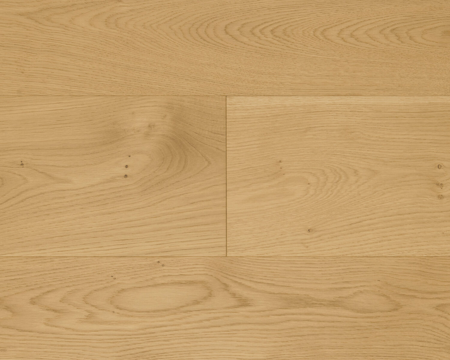 Oak: Elio