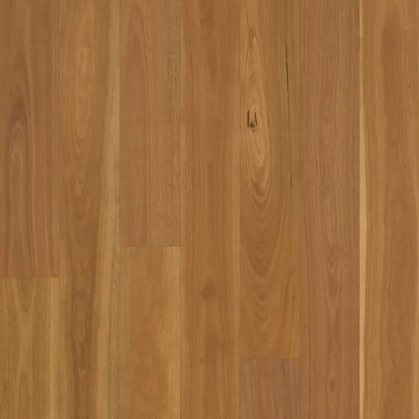 Swish Native 3MM