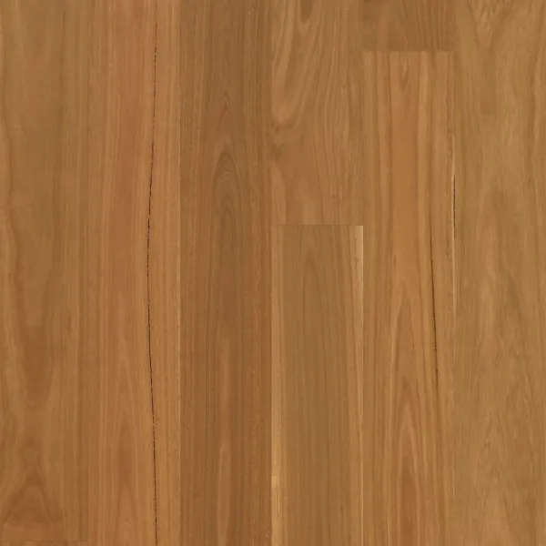 Swish Native 3 MM ABCD