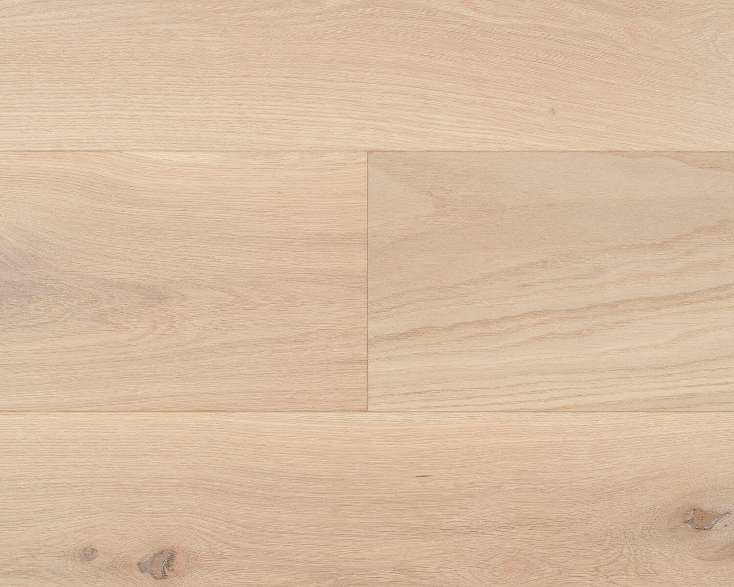 Oak: Elio